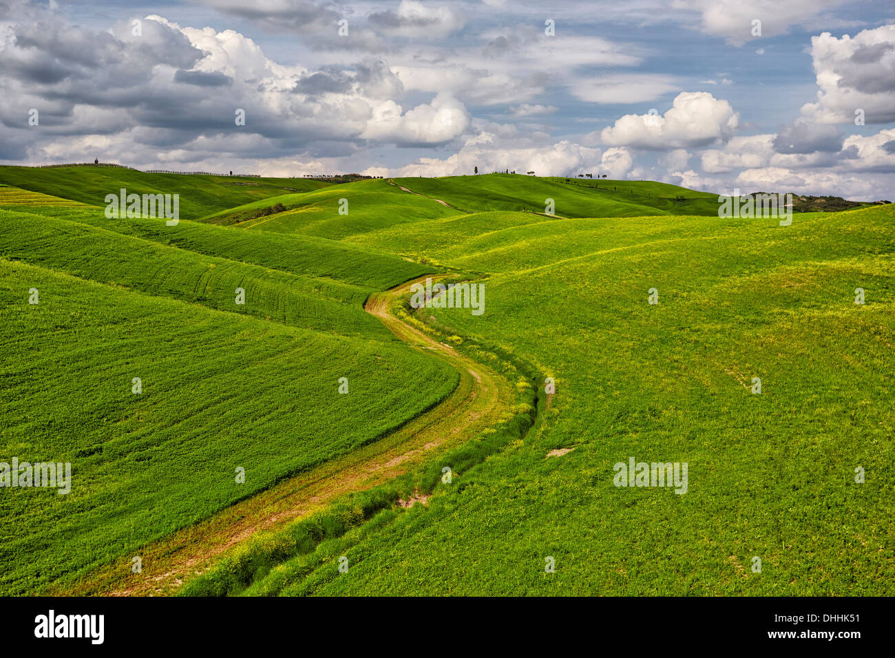 Hilly fields in the Crete Senesi region, Torrenieri, Montalcino, Province of Siena, Tuscany, Italy Stock Photo