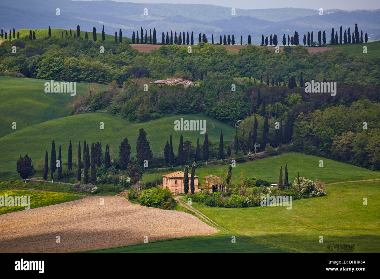 Hilly landscape of the Crete Senesi region, Moccia, Chiusure, Province of Siena, Tuscany, Italy Stock Photo