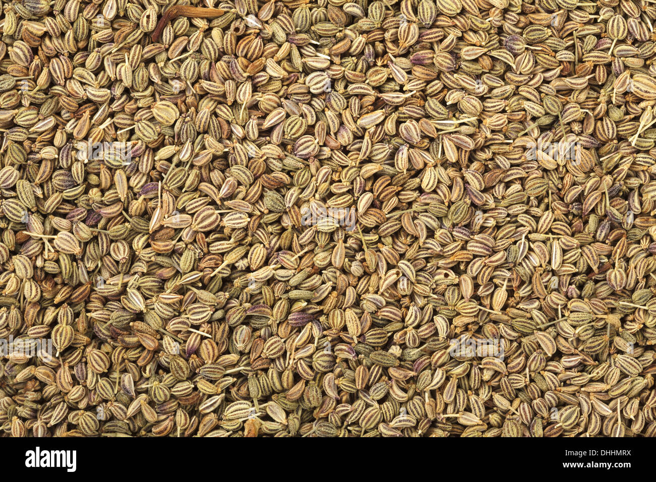 Lovage Seed Ajwain Stock Photo Alamy