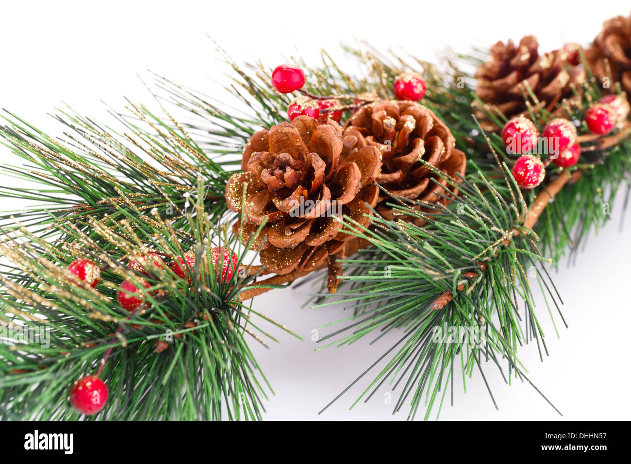 Christmas tree branch with cones on white background Stock Photo - Alamy