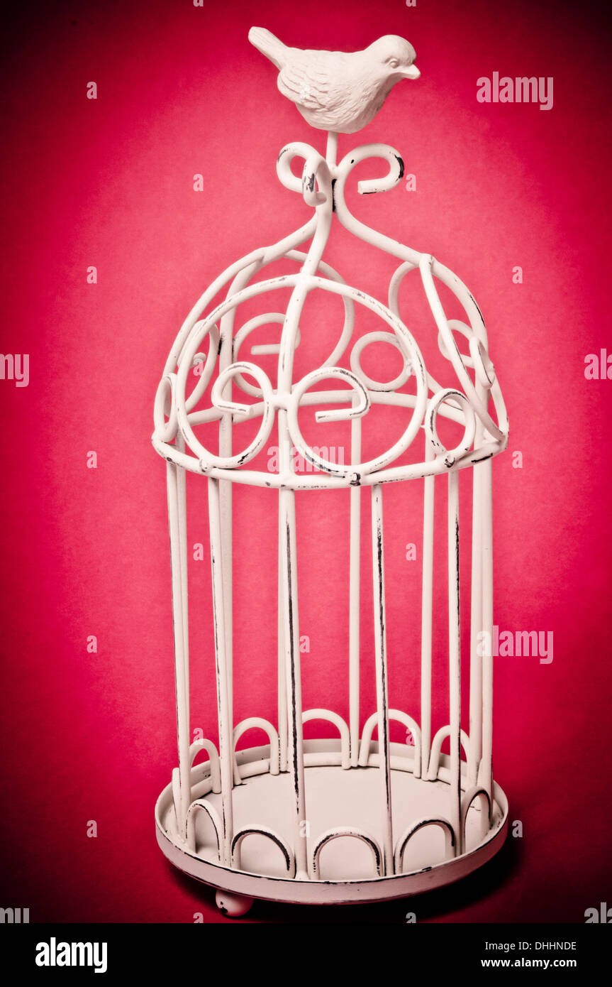 white bird cage Stock Photo Alamy