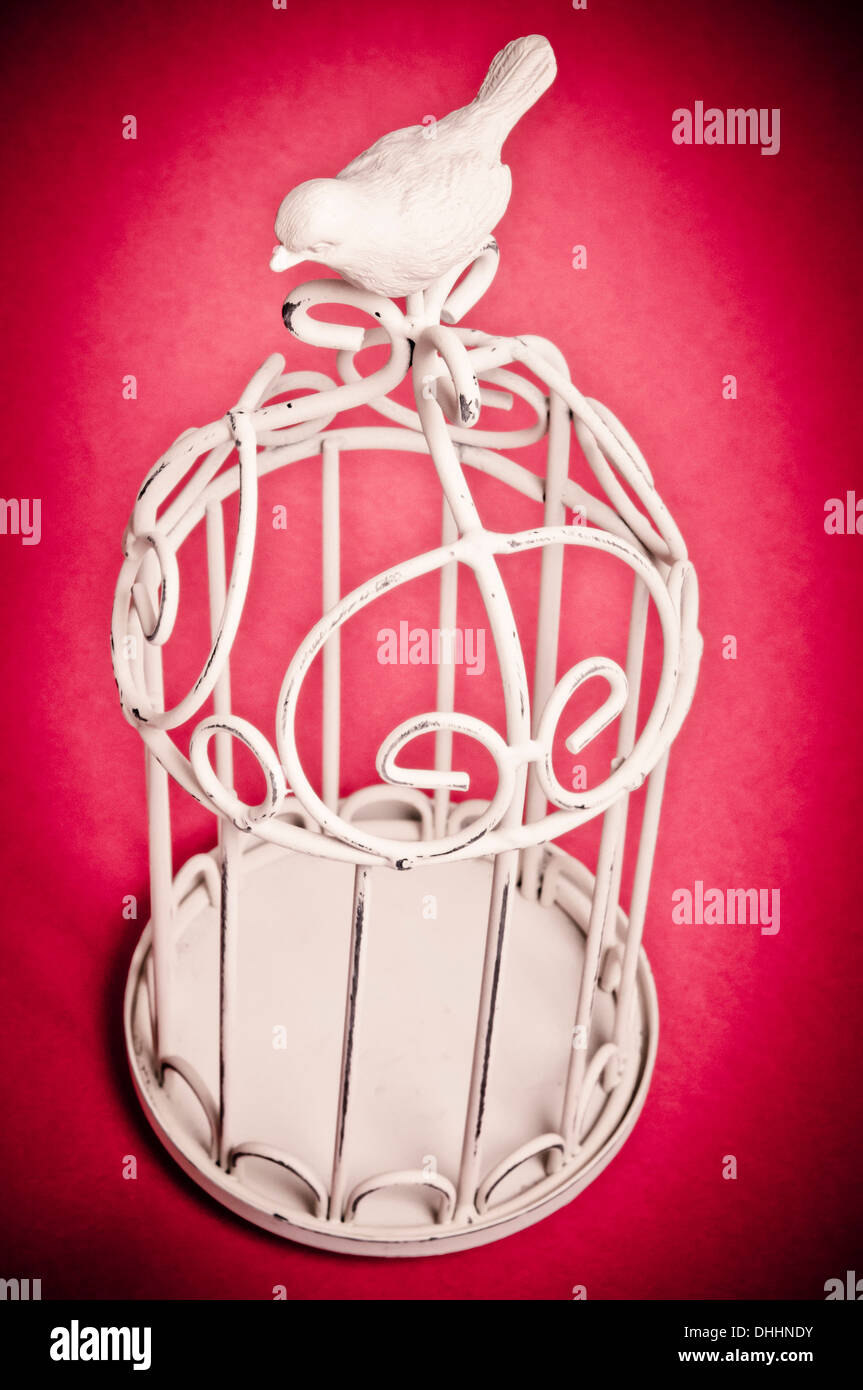 white bird cage Stock Photo Alamy