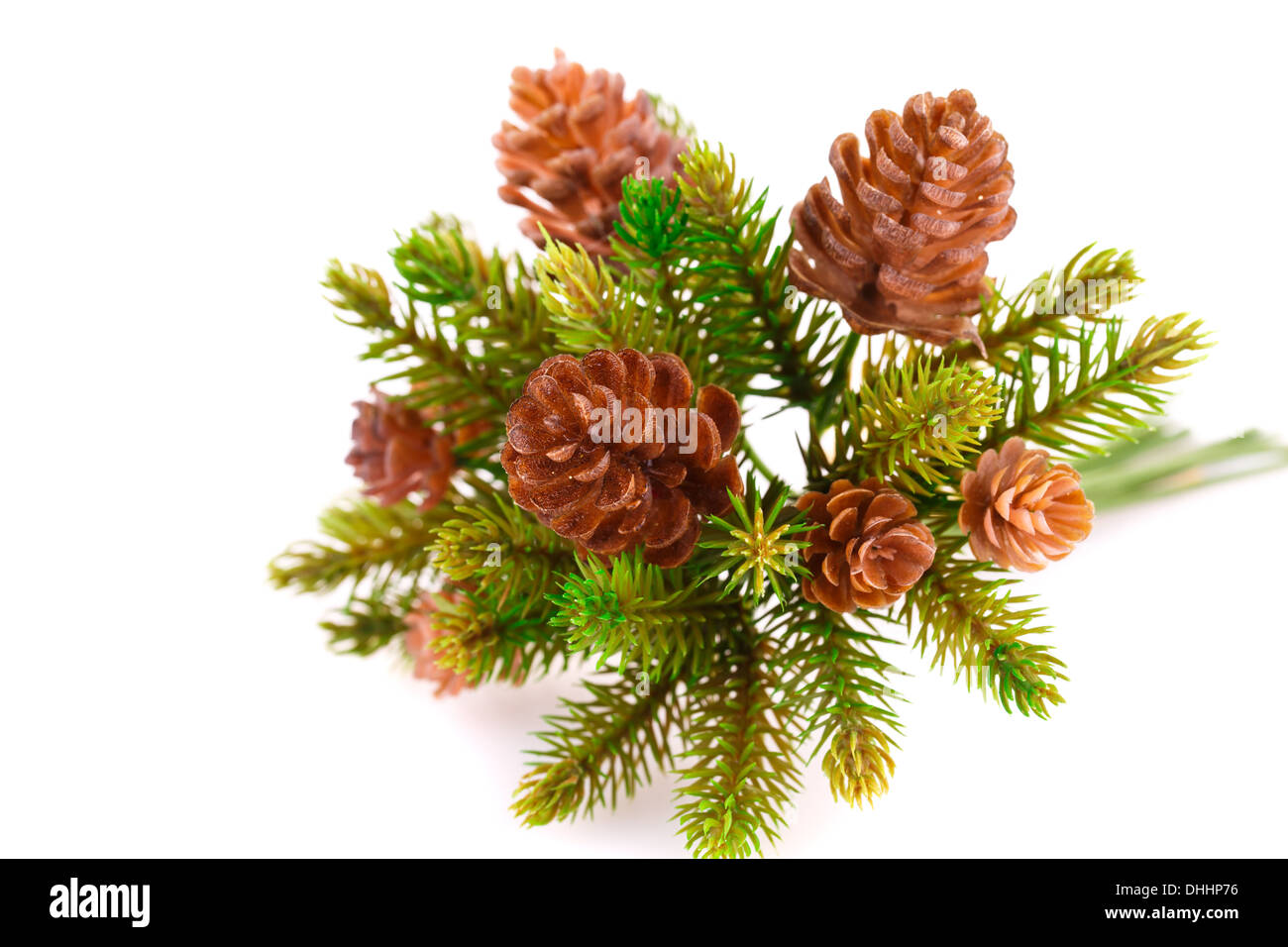 Christmas tree branch with cones isolated on white background Stock ...
