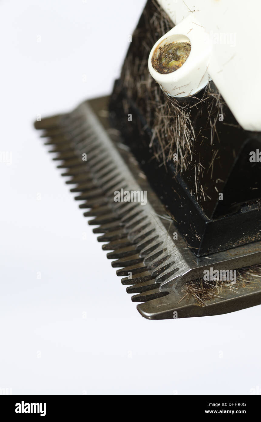 Clippers Barber And Hair Clipper With Cut Hair From Haircut Trim