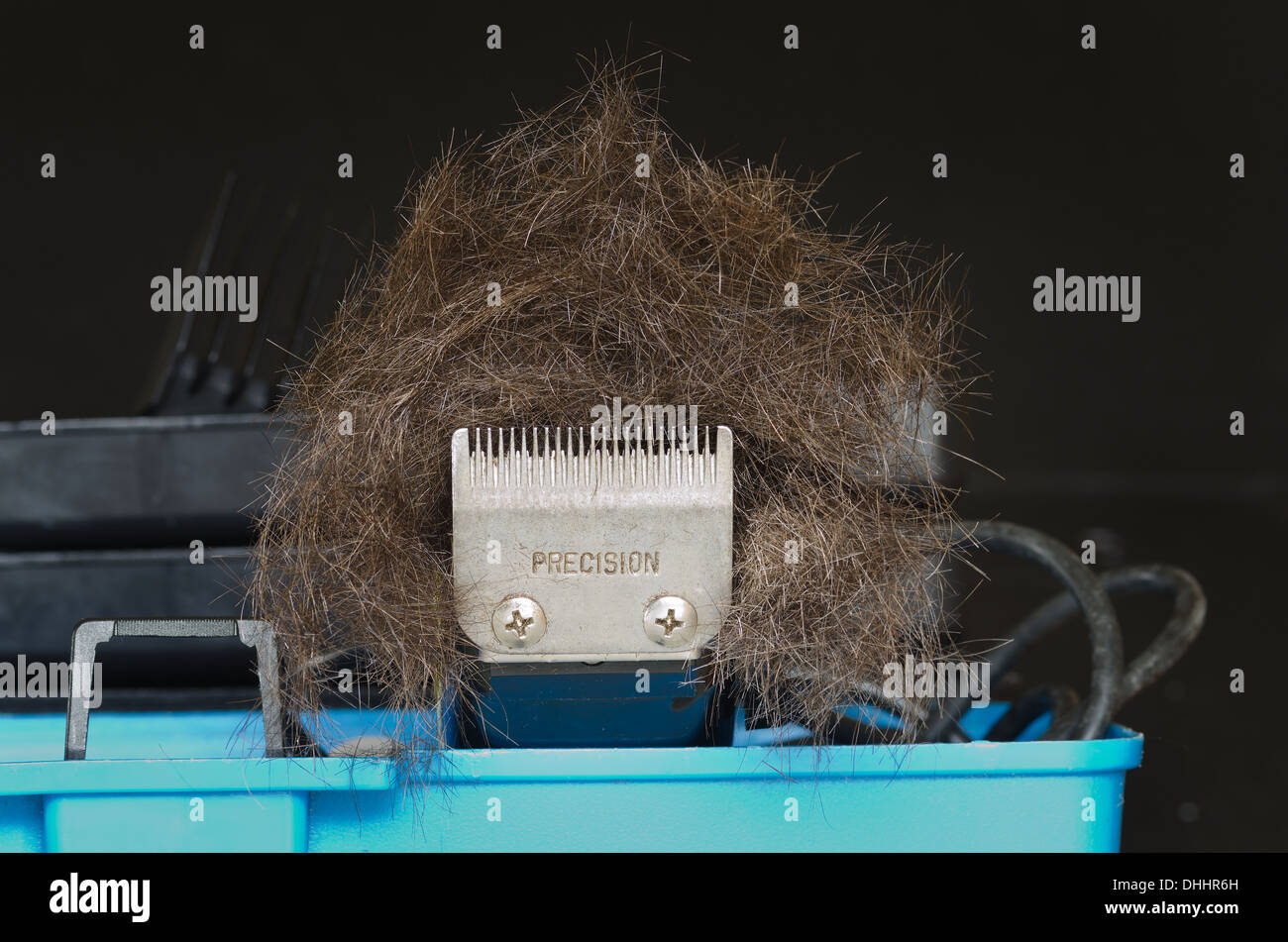 bad hair day style cut piled up onto hair clippers in shape of face