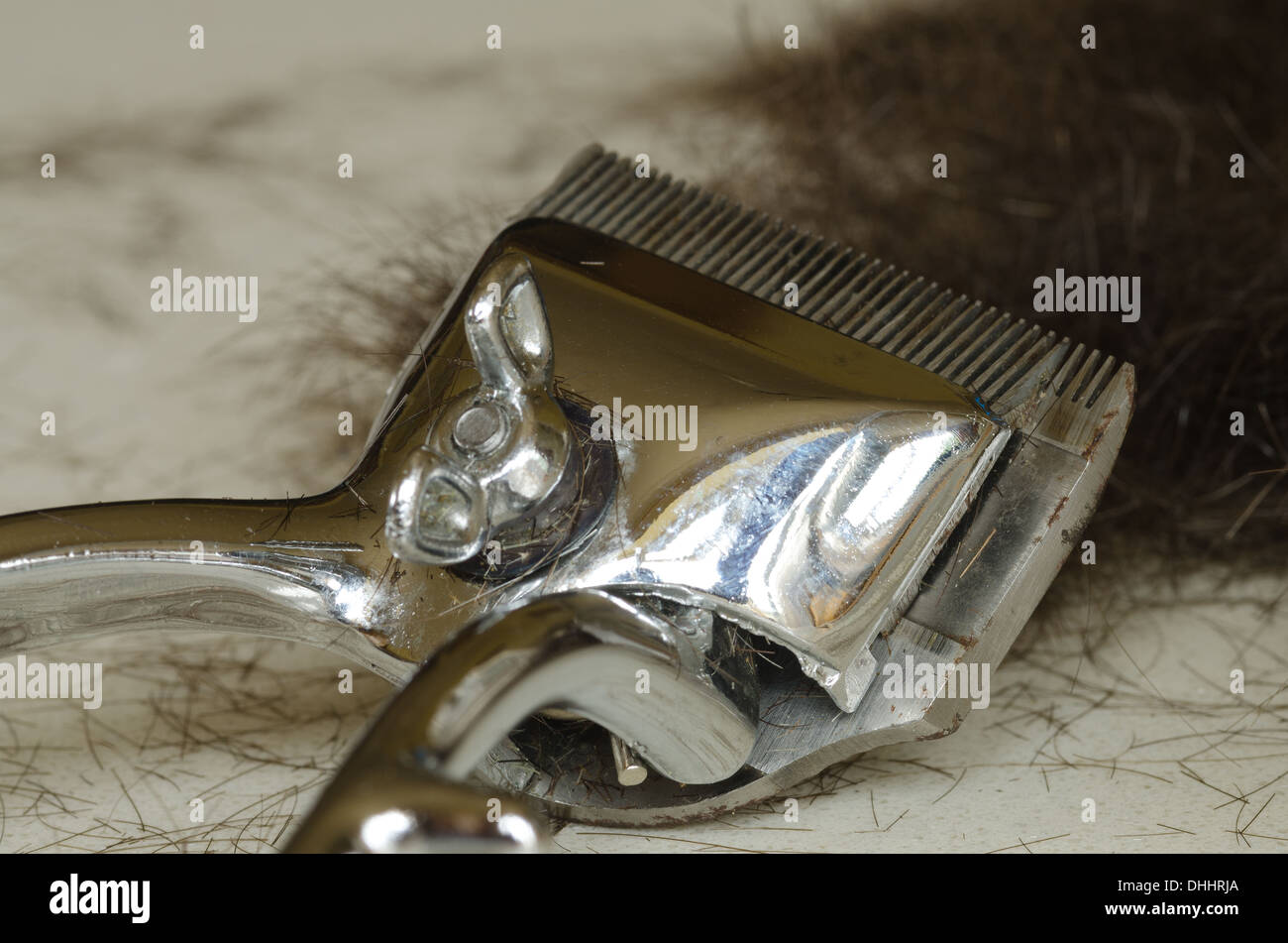 Clippers Barber And Hair Clipper With Cut Hair From Haircut Trim