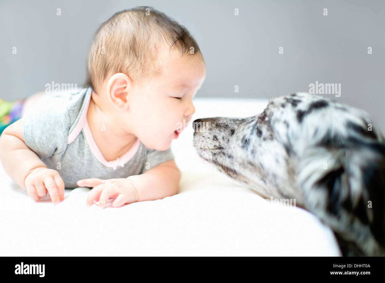 Baby girl face to face with pet dog Stock Photo