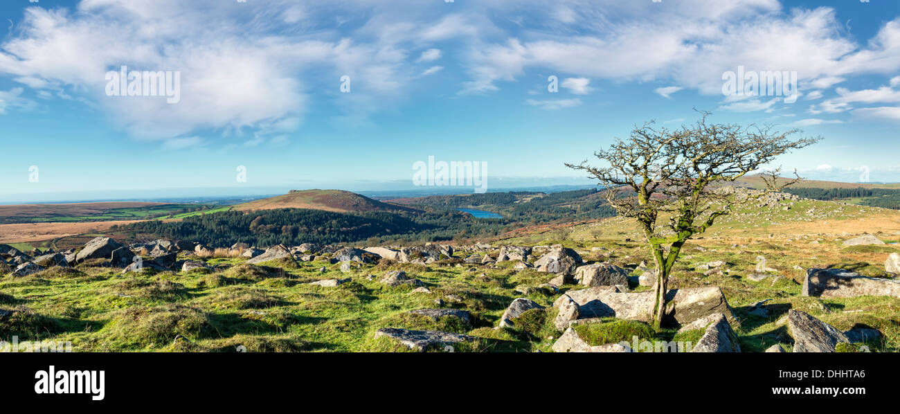 Looking towards Burrator from the slopes of Down Tor on Dartmoor Stock Photo