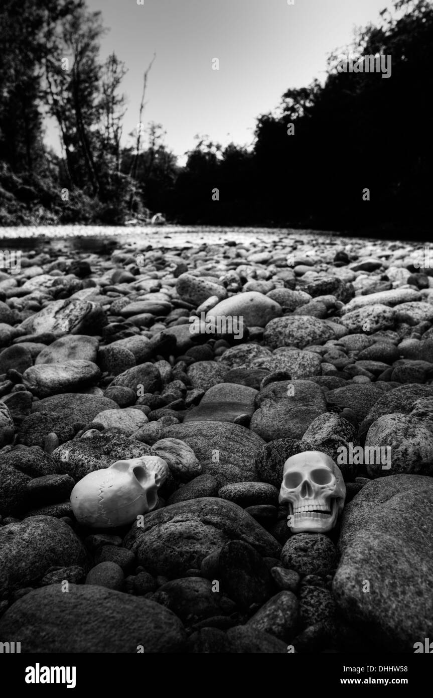 Human skulls near a river Stock Photo