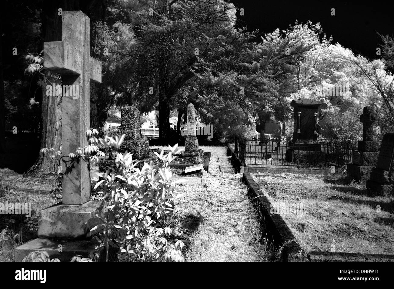 B & W Infra-Red of Constantia cemetery Stock Photo