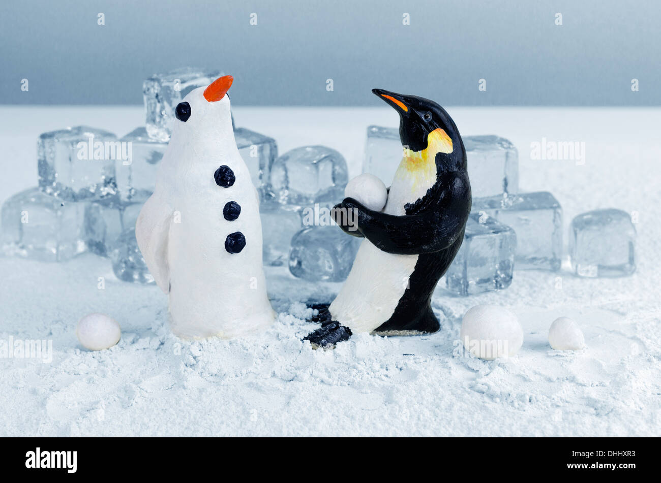 Penguin lifting a snowball to make a snow penguin Stock Photo