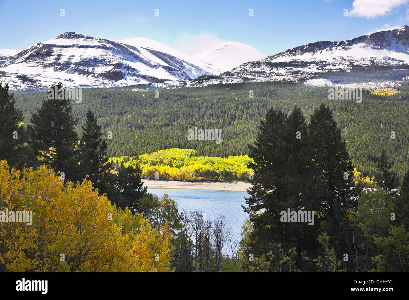 Northern nature forest wilderness hi-res stock photography and images ...