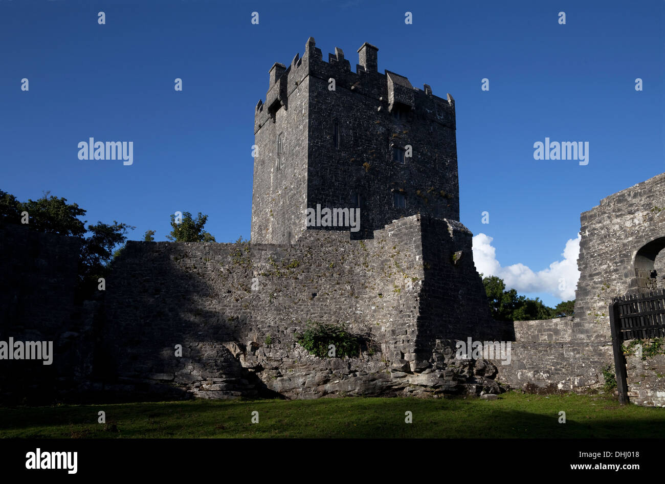 Aughnanure Castle (1490), a late medieval Tower House on the banks of Lough Corrib, Oughterard, Connemara, County Galway, Ireland Stock Photo