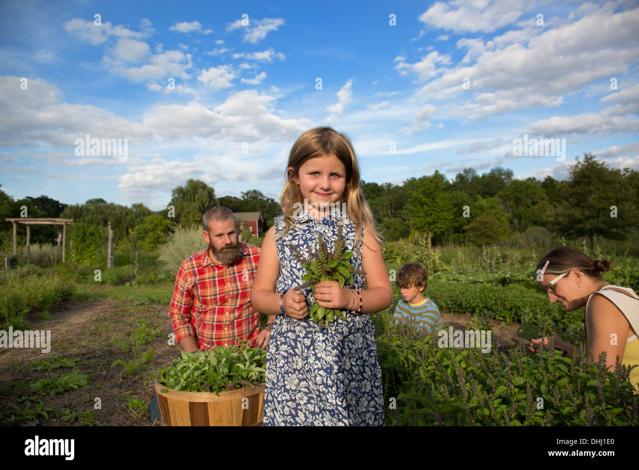 Portrait of girl holding bunch of leaves on family herb farm Stock Photo