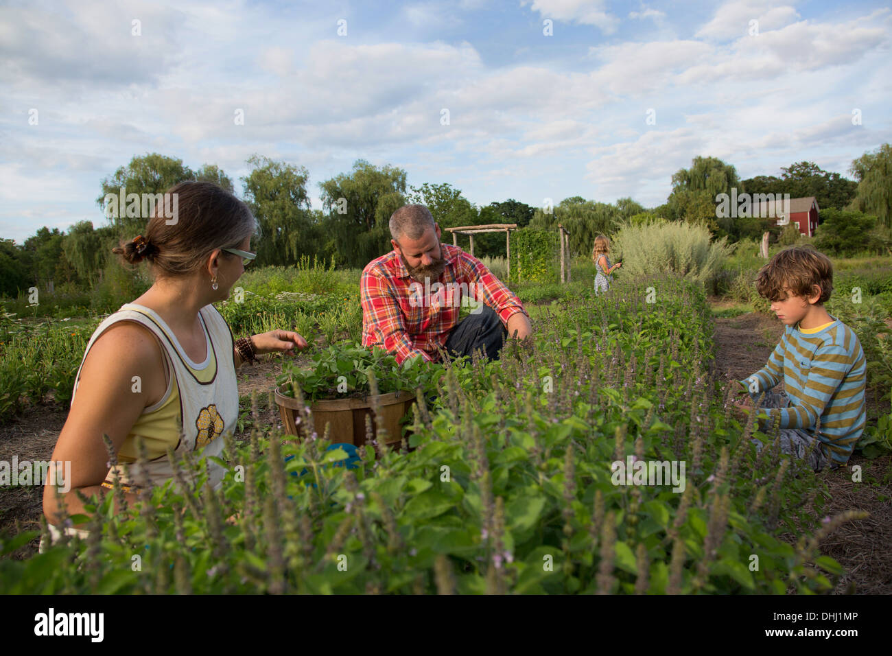 Family working together on herb farm Stock Photo