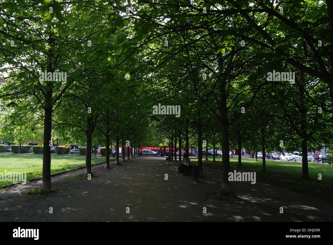 View, towards cars parked Friedrichstrasse, avenue of trees with couple sitting and embracing park bench, Besselpark, Berlin Stock Photo