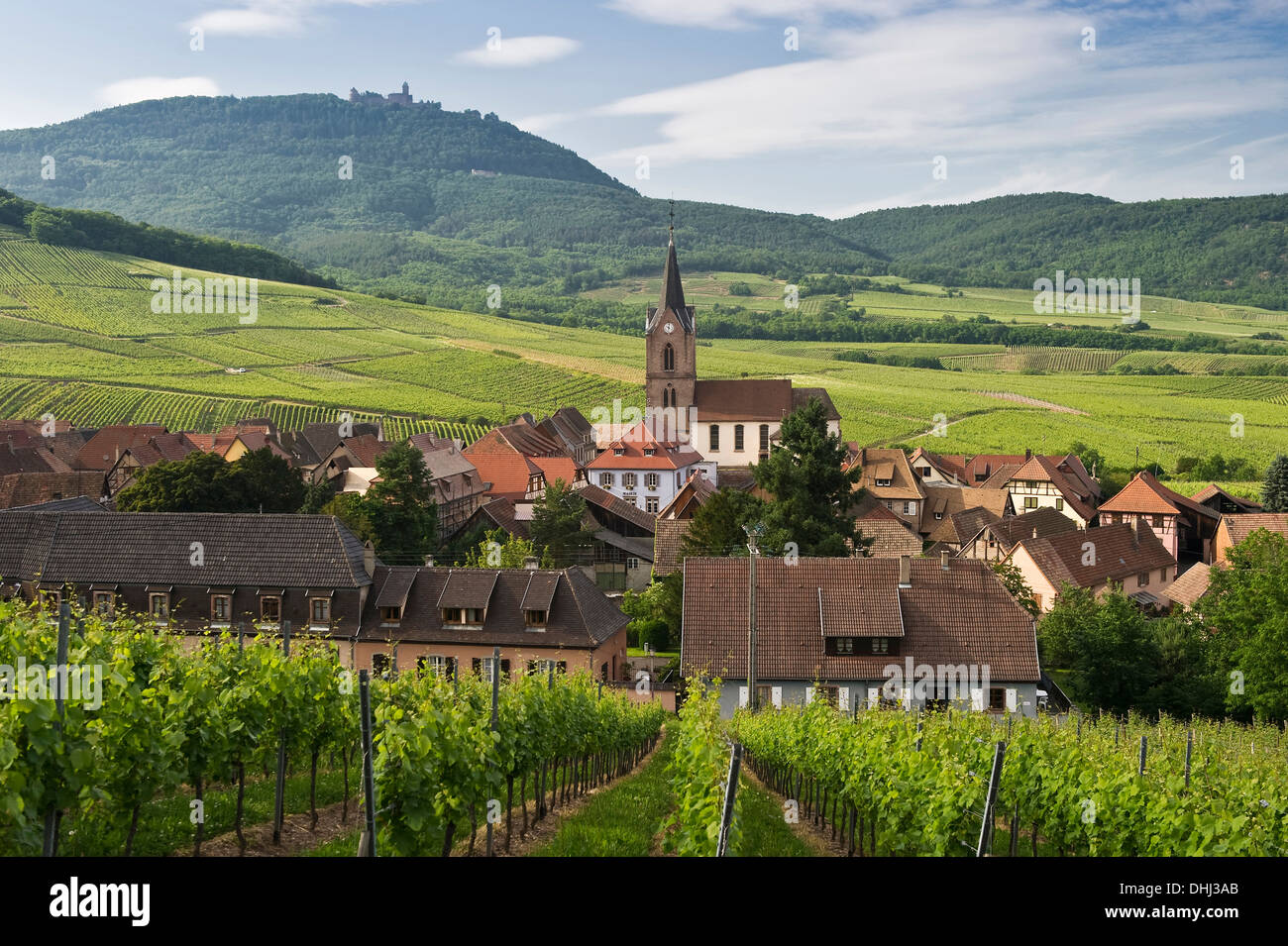 Rodern The town of Rodern with vineyards, Chateau du Haut-Koenigsbourg in the ...