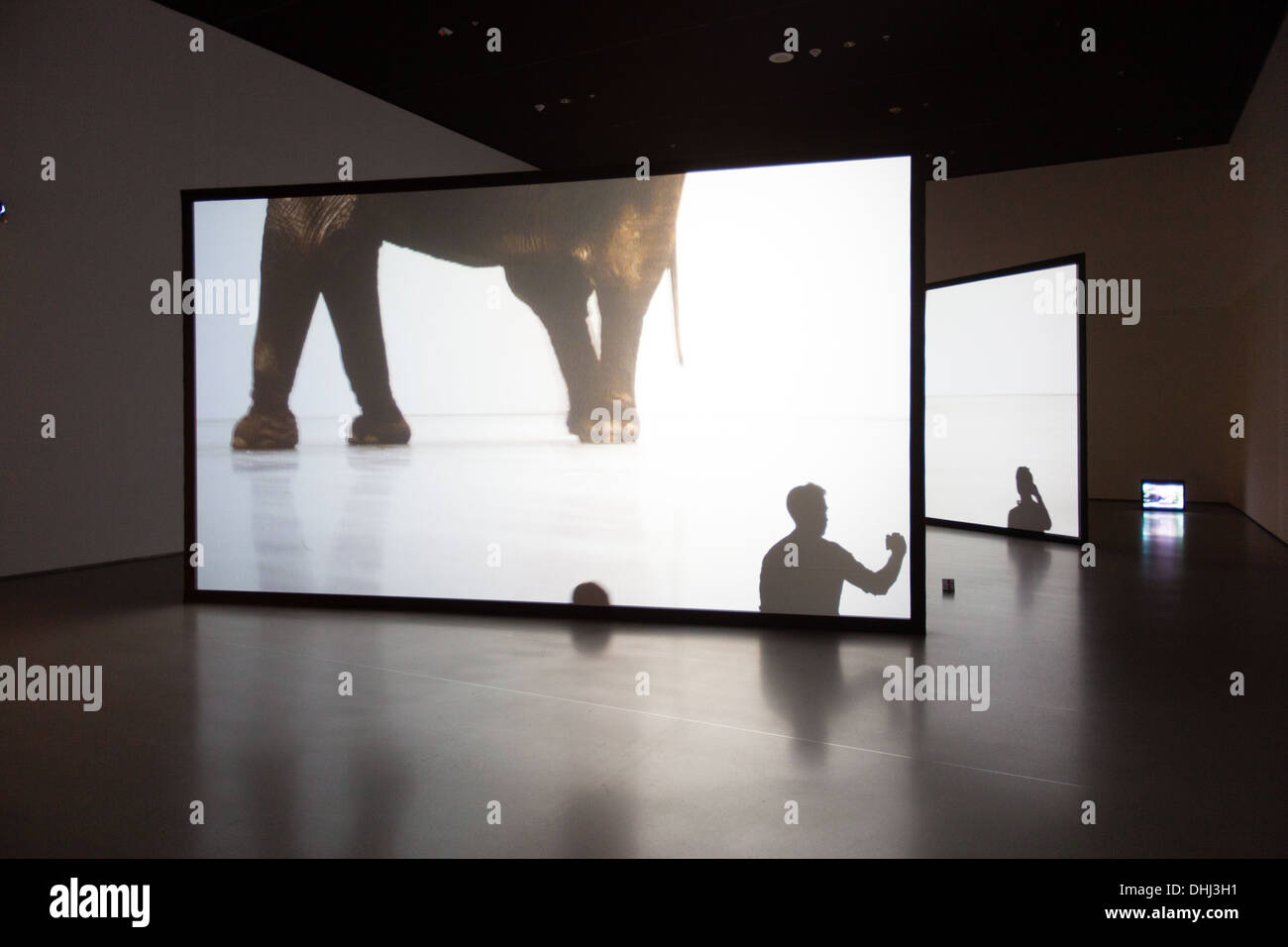 Douglas Gordon's Play Dead: Real Time on display at the Museum Of Modern Art, New York City, United States of America Stock Photo