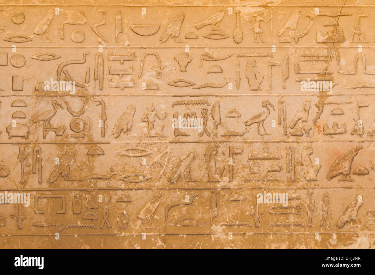 egyptian hieroglyphics from saqqarah, cairo Stock Photo
