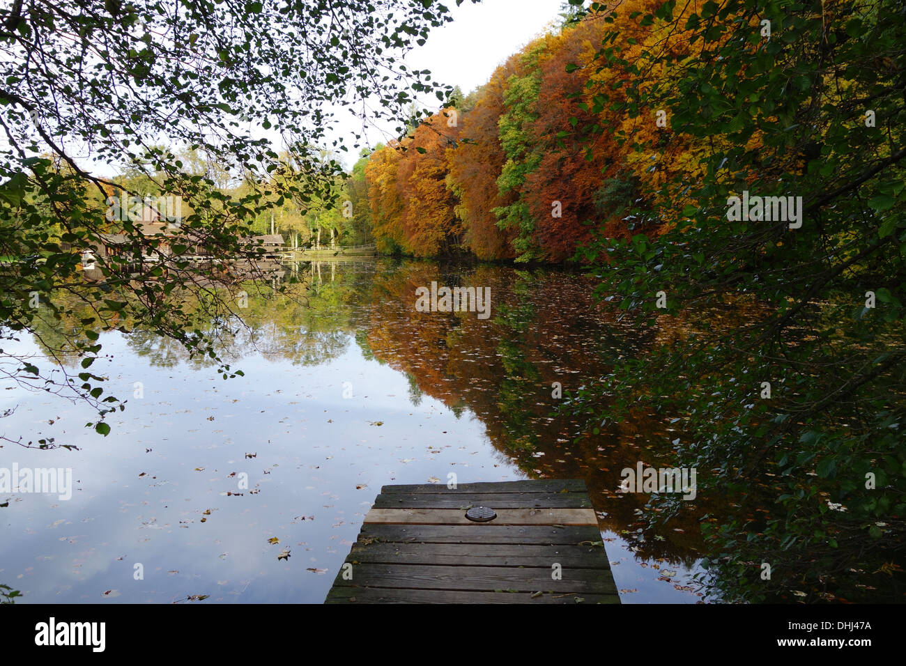 Autumn trees by the lake Stock Photo - Alamy