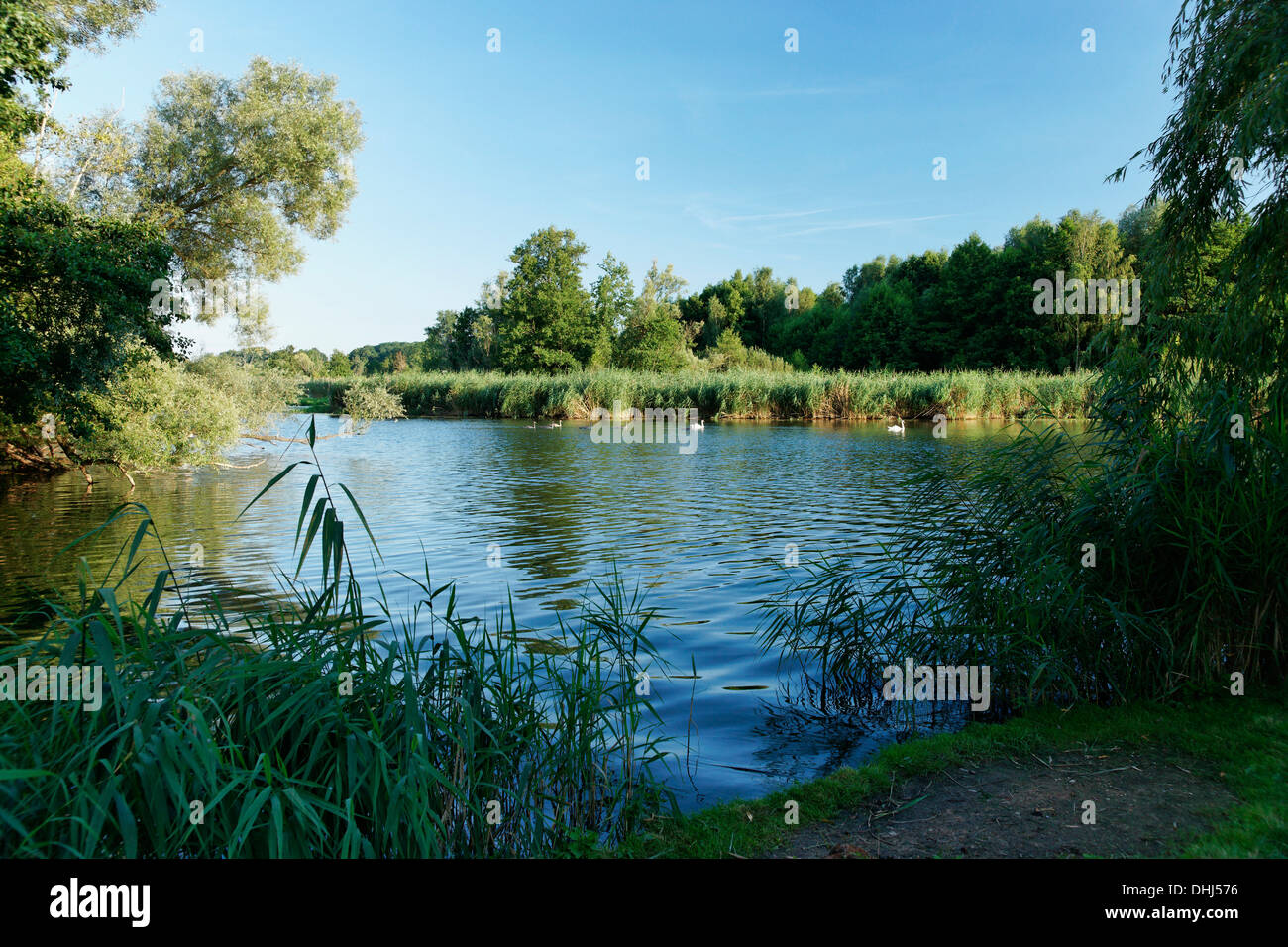 Spree river in idyllic landscape, Beeskow, Land Brandenburg, Germany, Europe Stock Photo