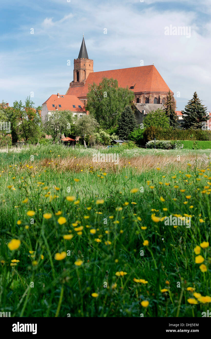 View over a Meadow onto St. Mary's church, Beeskow, Land Brandenburg, Germany, Europe Stock Photo