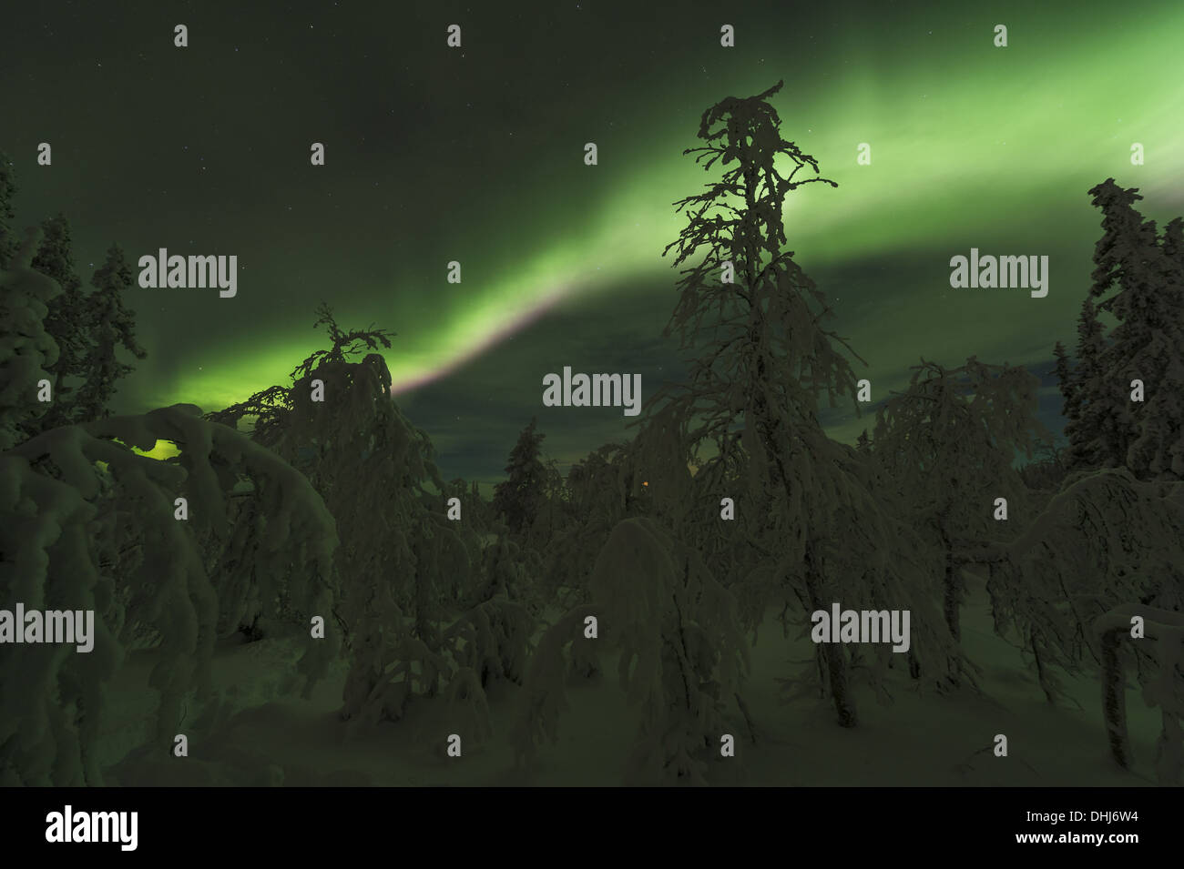Northern lights (Aurora borealis), Sweden Stock Photo Alamy
