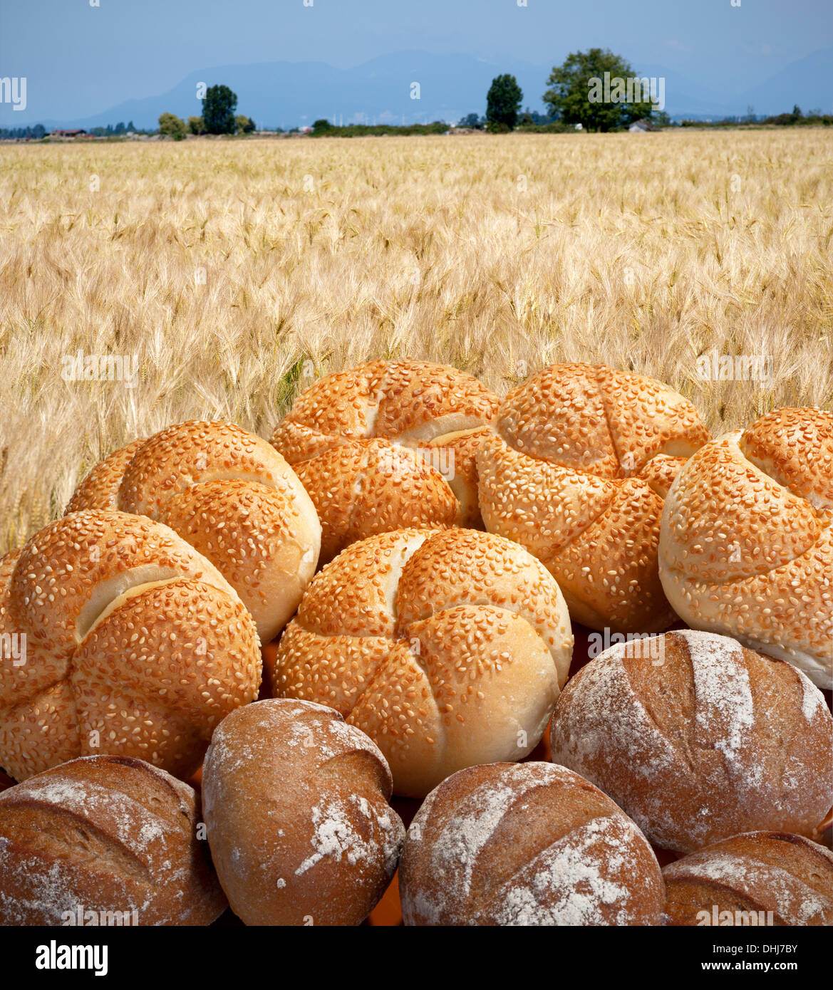 Buns and baguettes, bakery with a field as background Stock Photo