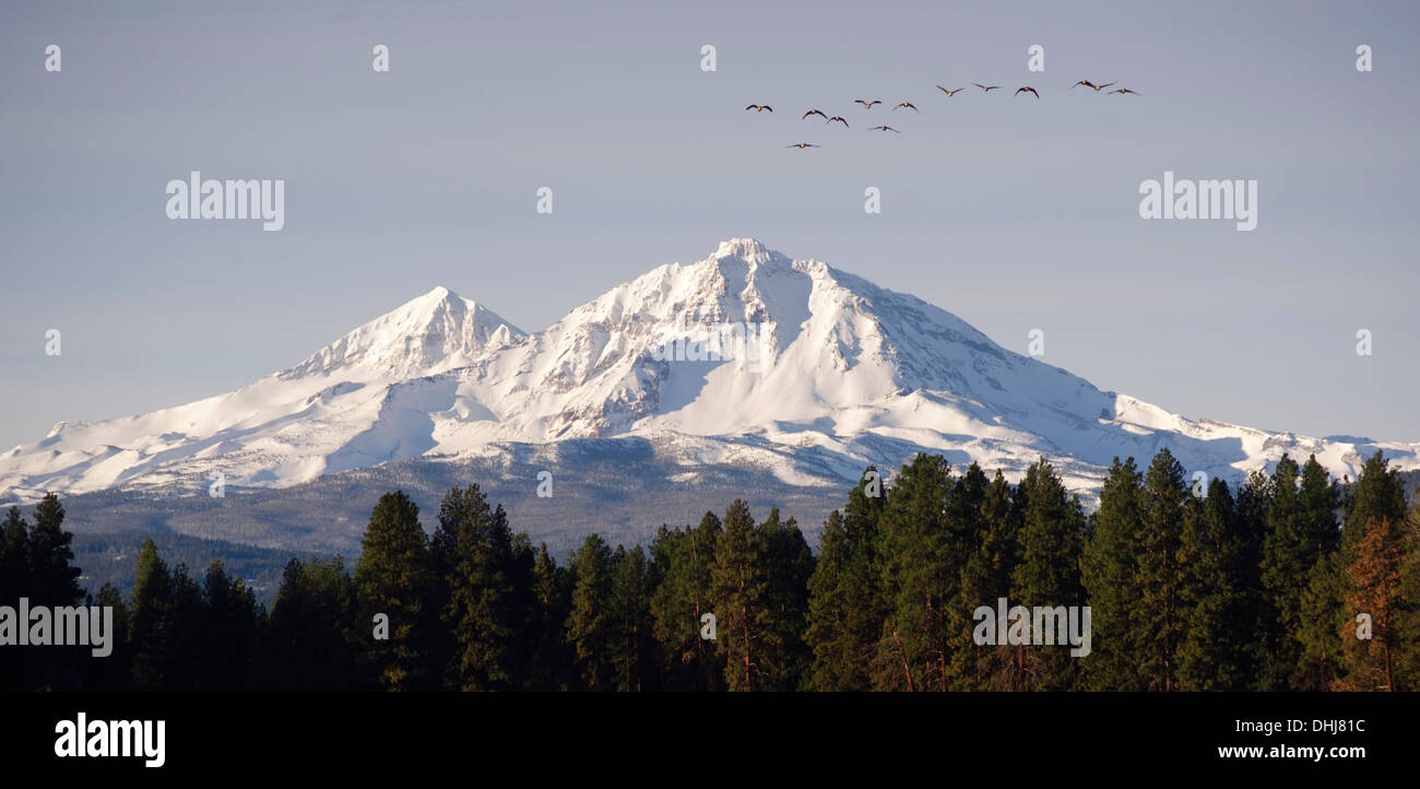 Birds heading south looking for milder climate after crossing mountain range Stock Photo