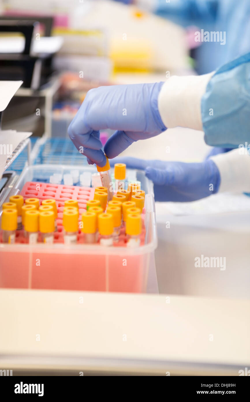 Testtubes hi-res stock photography and images - Alamy
