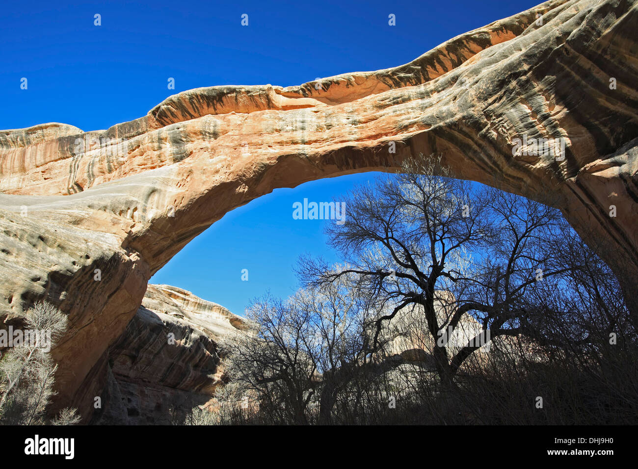 Sipapu bridge spring hires stock photography and images Alamy