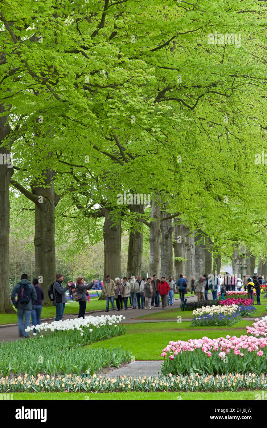 People among trees and flower displays, Keukenhof Gardens, near Lisse, Holland Stock Photo