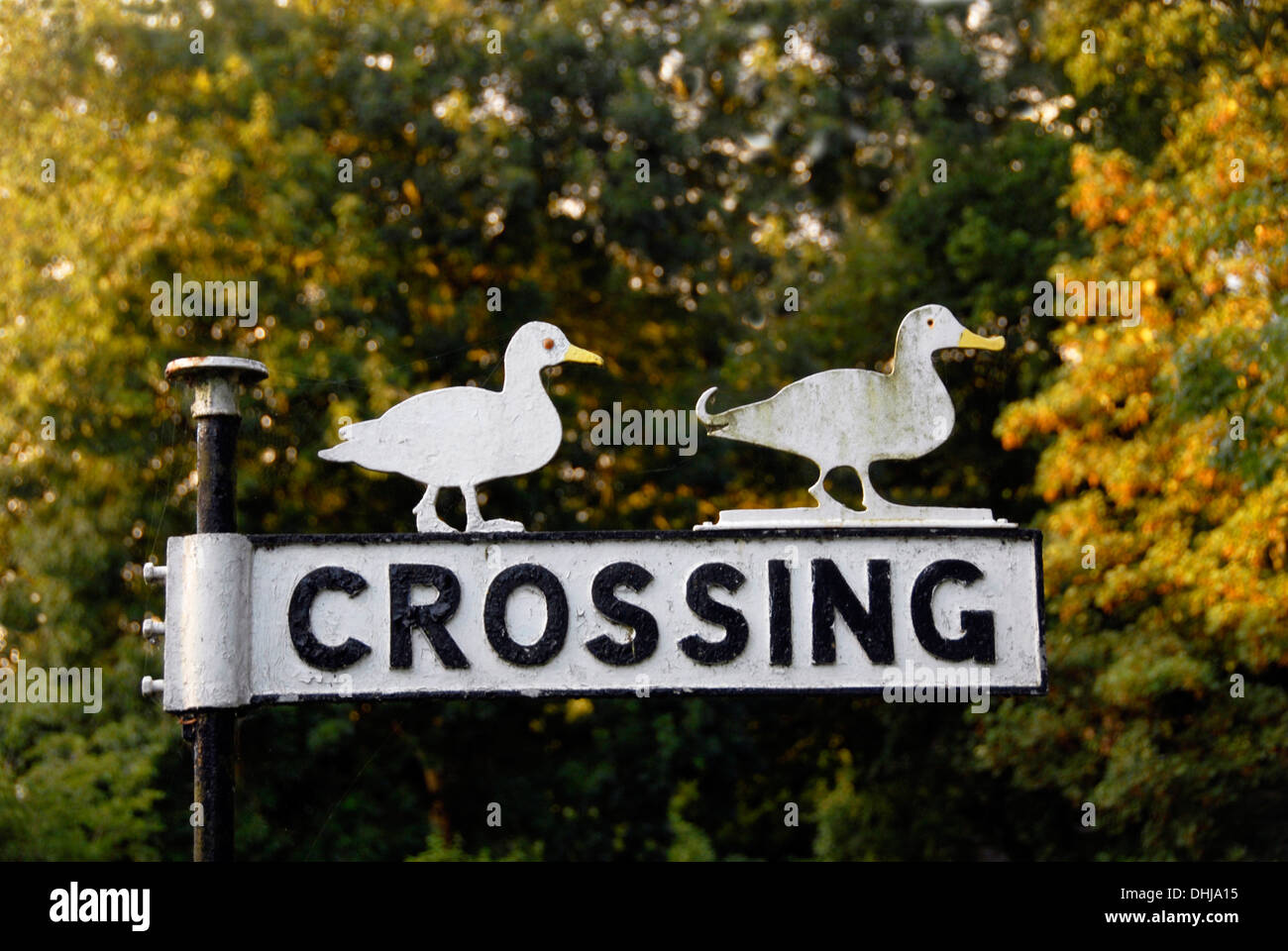 Novelty sign 'Ducks Crossing', Norfolk, England Stock Photo