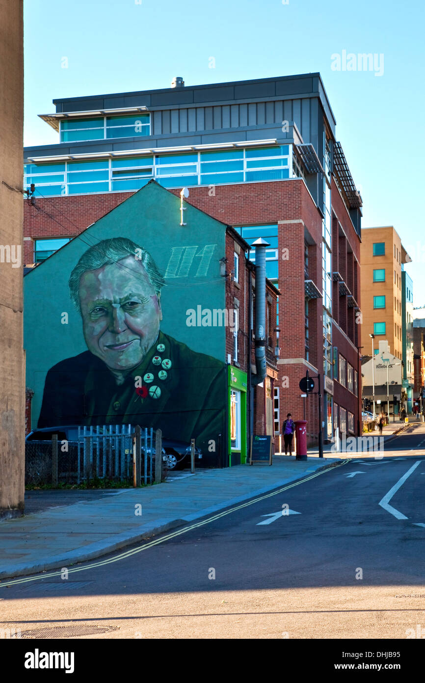 The David Attenborough mural on Charles Street Sheffield South Yorkshire UK Stock Photo