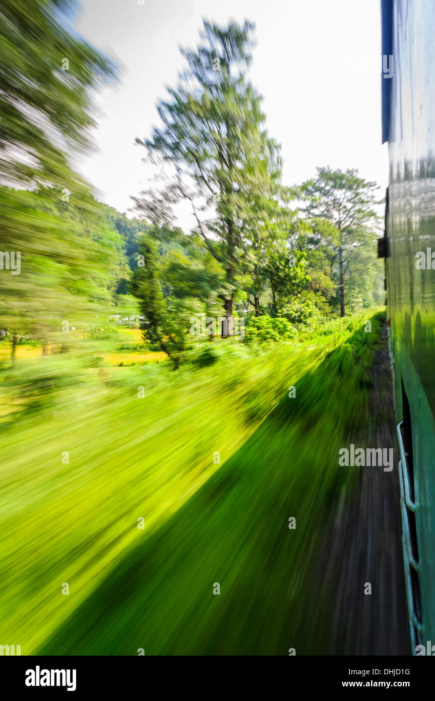 View through window of a speeding train passing through forest Stock