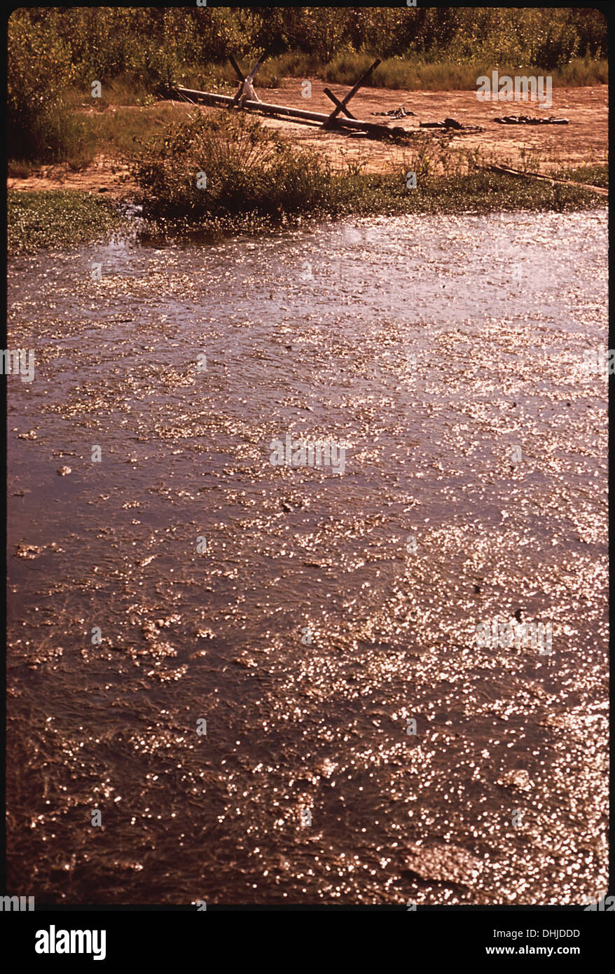DISCHARGE PIPE FROM GAS WELL IN MARSH EMPTIES INTO POND. POND WATER IS COVERED WITH SCUM 253 Stock Photo