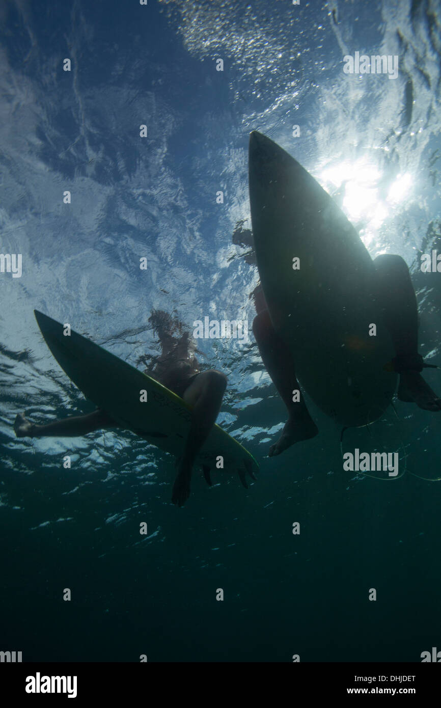 Underwater view of two surfers Stock Photo Alamy