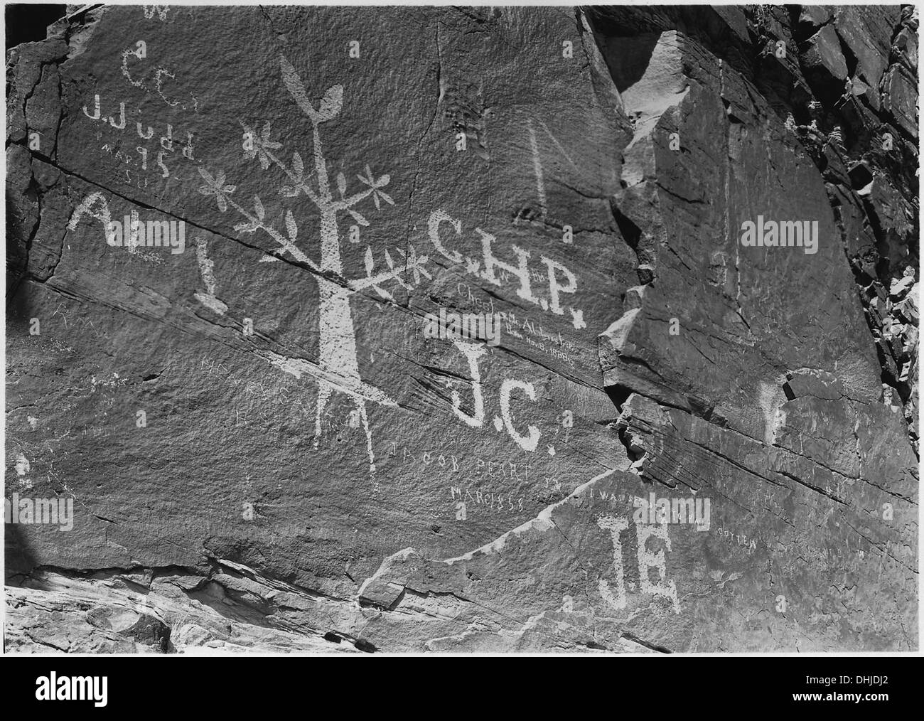 Cotton plant inscription on cliff along Virgin River below St. Utah. At the base of the