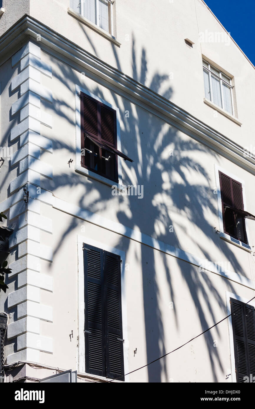 Palm tree shadow on a building at Gibraltar. Stock Photo
