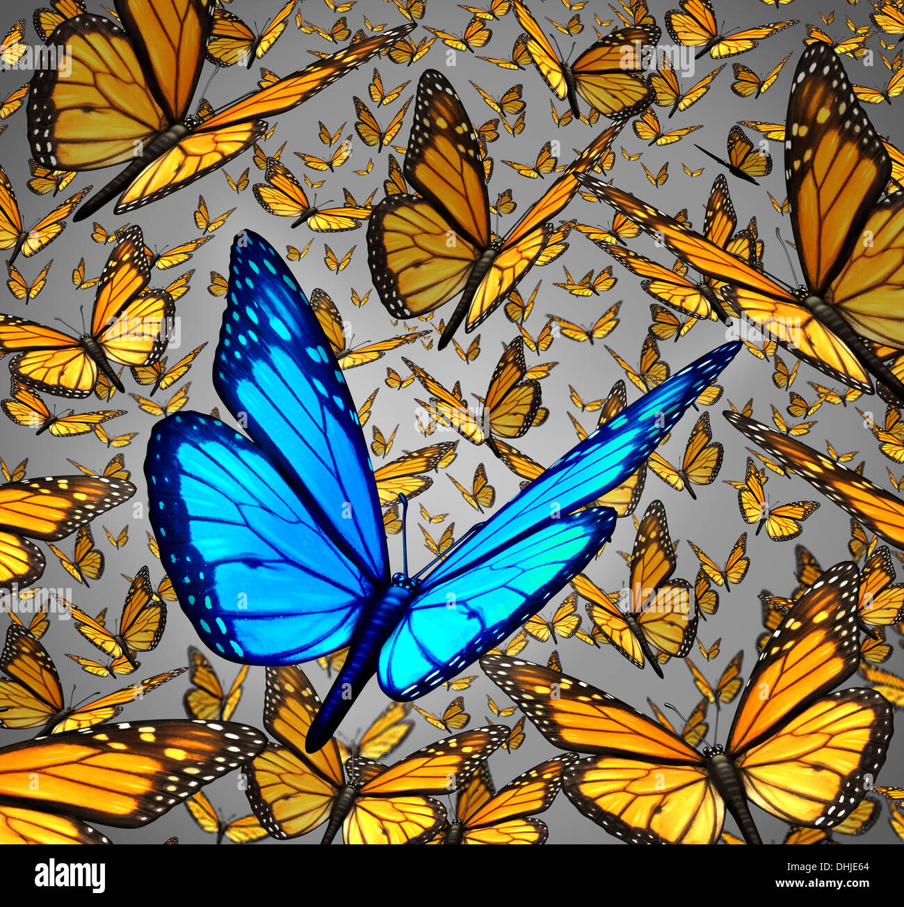 New vision standing out from the crowd business concept as a symbol of individuality and innovative thinking as a group of Monarch butterflies flying with a single special insect colored blue as an icon of creativity. Stock Photo