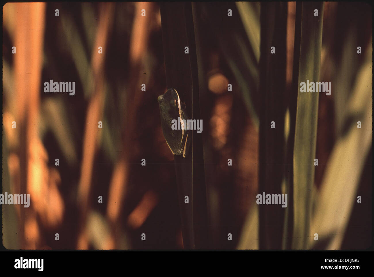Diverse characteristics hi-res stock photography and images - Alamy