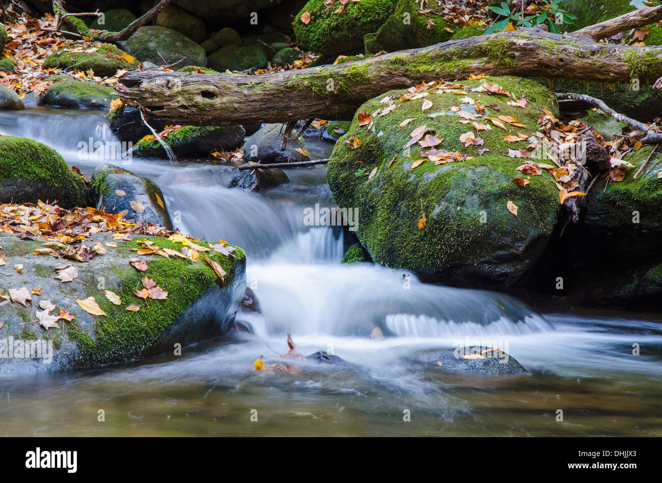 A stream in the Smoky Mountains National Park in Gatlinburg, Tennessee along the Roaring Fork motor Nature Trail. Stock Photo
