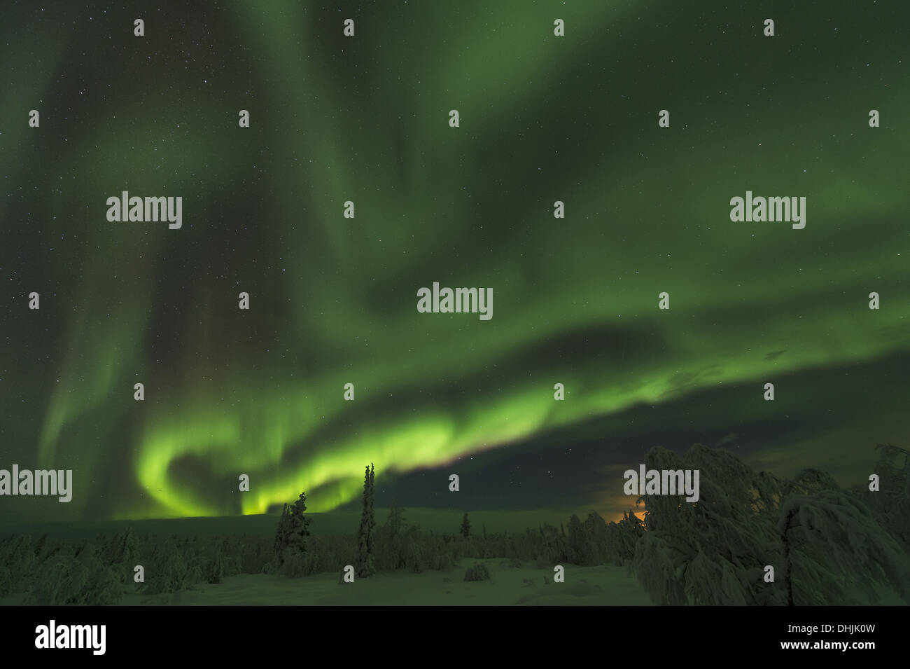 Northern lights (Aurora borealis), Sweden Stock Photo Alamy