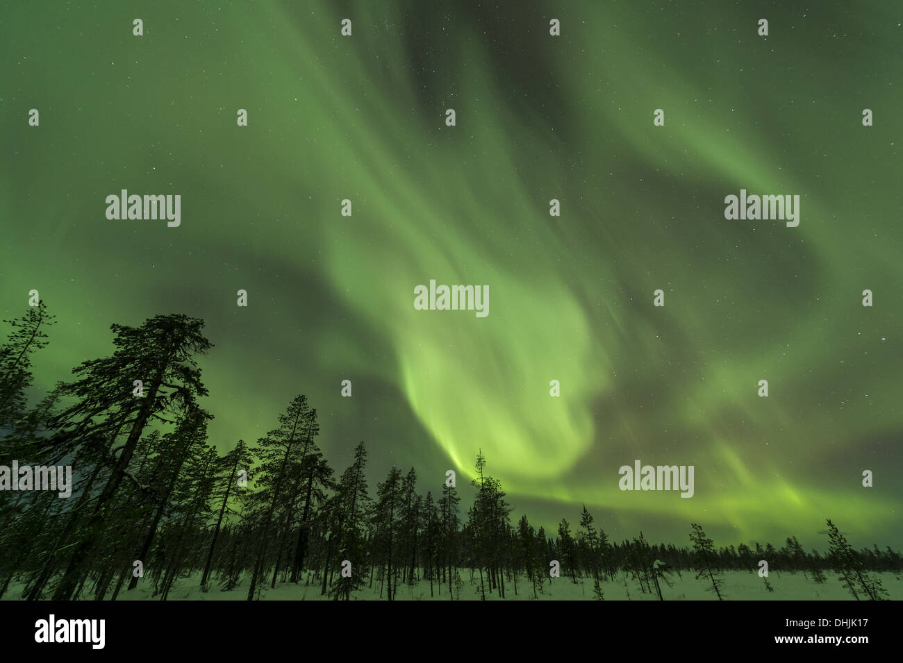 Northern lights (Aurora borealis), Sweden Stock Photo Alamy
