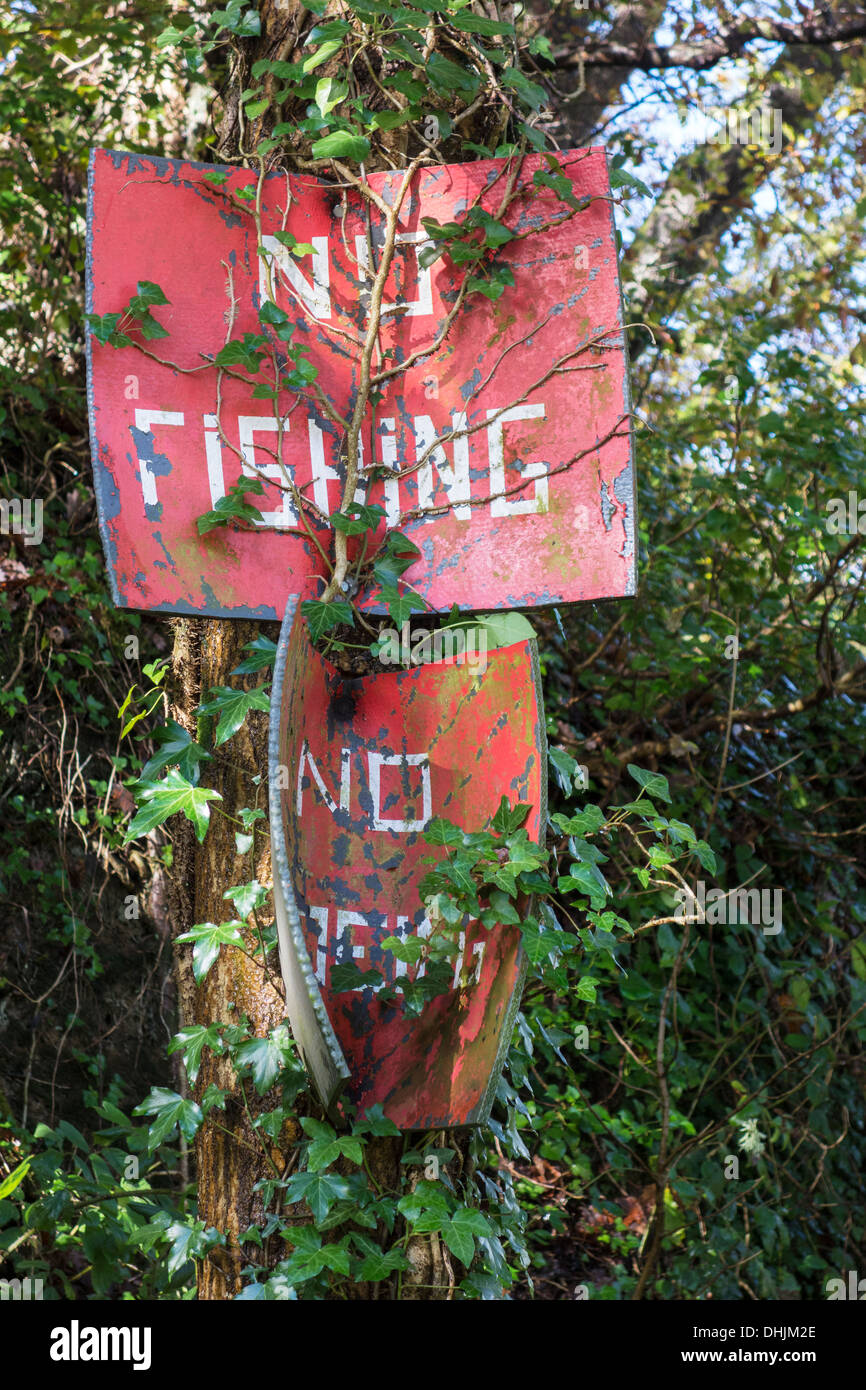 Battered 'No fishing' sign, river Neath, Pontneddfechan, Wales, UK Stock Photo