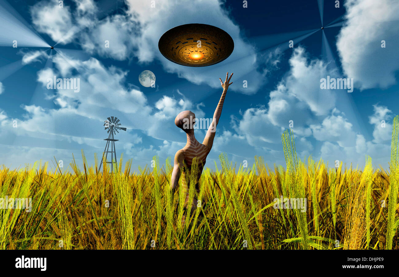 The Truth Behind The Making Of Crop Circles. Stock Photo