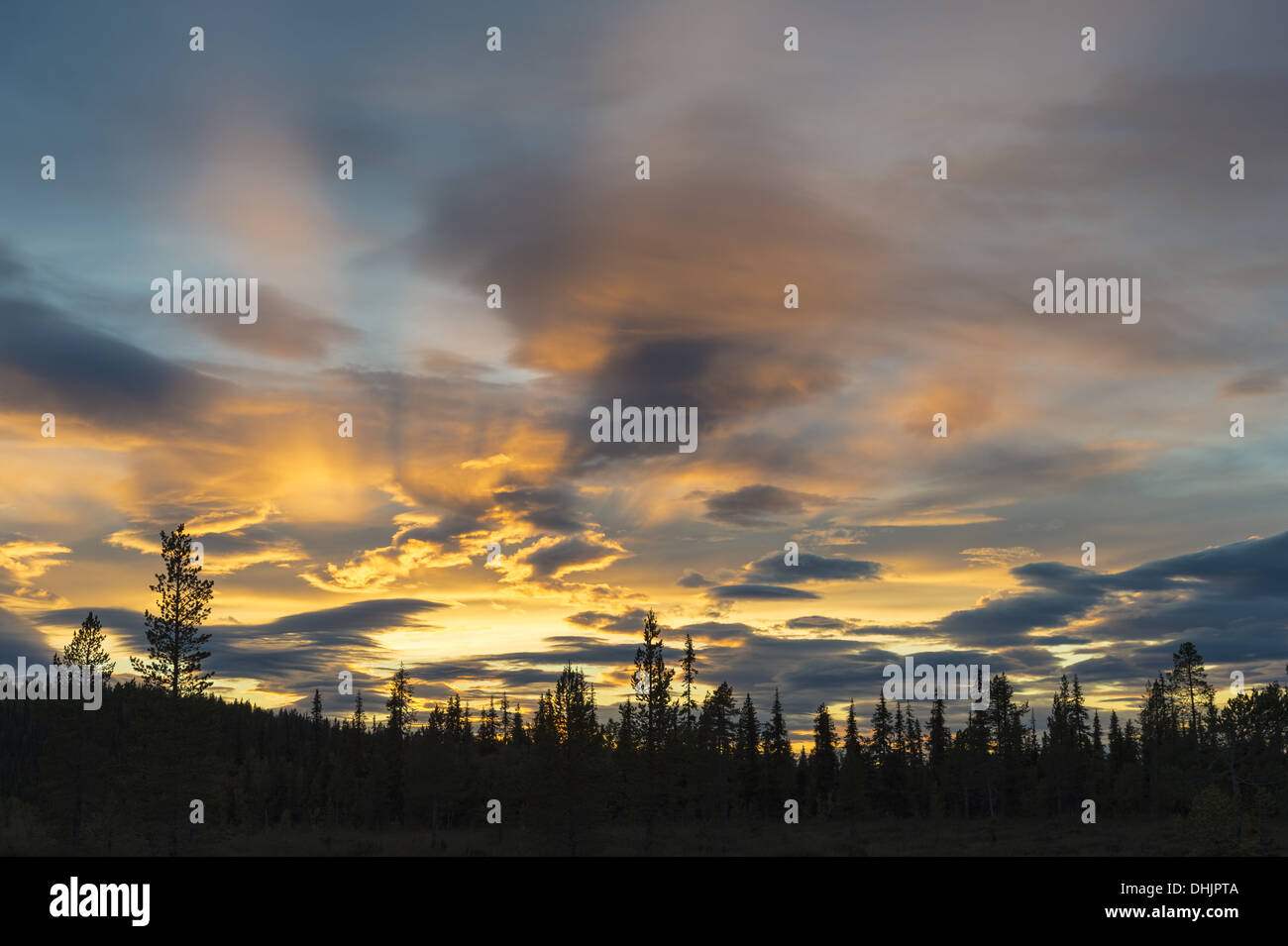evening mood, Lapland, Sweden Stock Photo