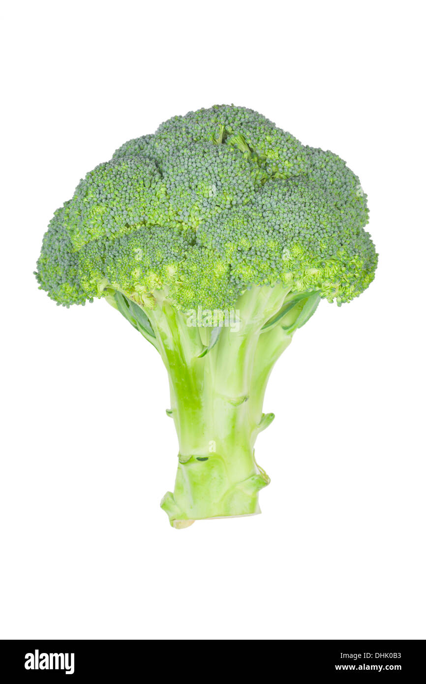 Fresh broccoli Stock Photo