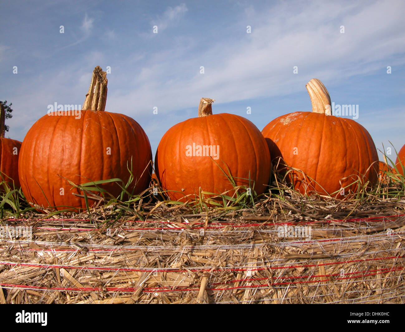pumpkins on top of a hay bale Stock Photo Alamy