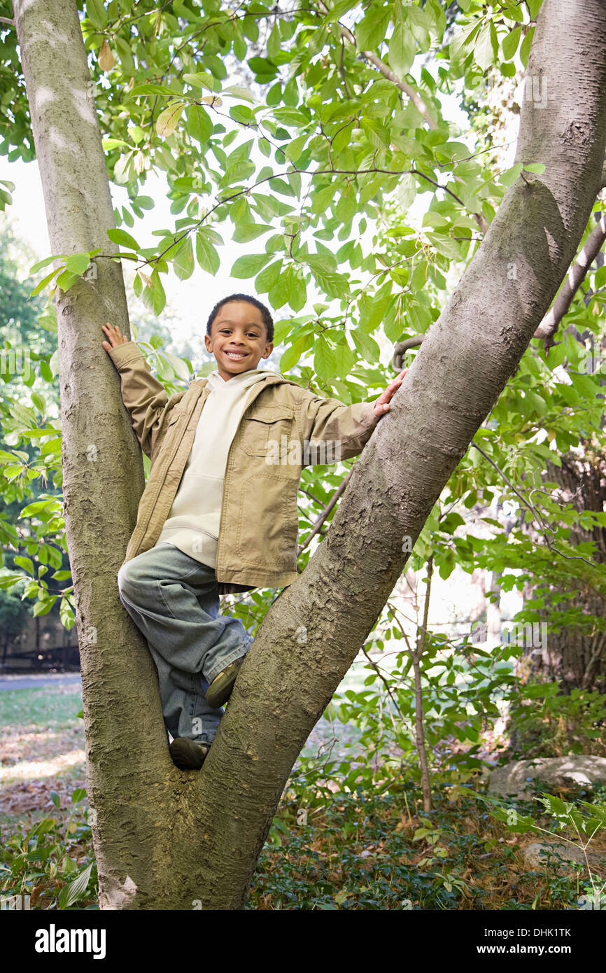 Boy in a tree Stock Photo